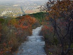 -北京西山国家森林公园