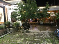 景观位-马帮菜馆·美味野生菌