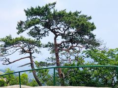 -丹东凤凰山景区