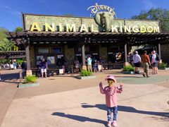 -奥兰多迪士尼动物王国乐园