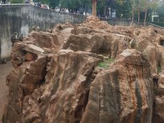 -昆明动物园