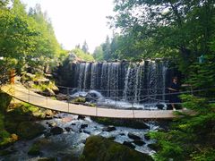 -汤旺河林海奇石景区