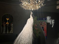 -滇野云南野生菌餐厅(陕西南路店)