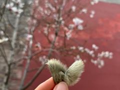 -东华门大街小区