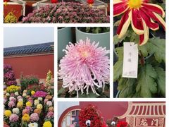-天坛公园