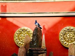 -大召寺明清一条街