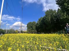 -长白岛森林公园