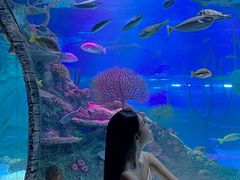 -沈阳海洋探索中心