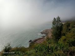 -广东惠东海龟国家级自然保护区