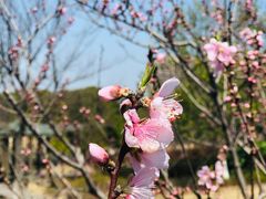 -白塘生态植物园