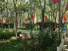 -草根堂农场