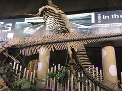 -诸城市恐龙博物馆
