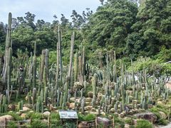 -深圳仙湖植物园