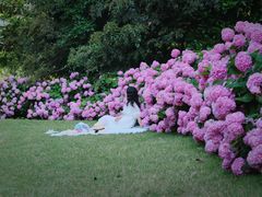 -上海滨江森林公园