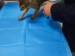 -美联众合动物医院·24h京西诊疗中心