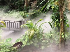 -呀诺达热带雨林
