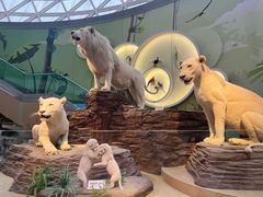 -陕西自然博物馆