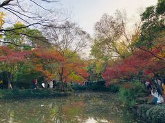 -秋霞圃