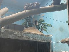 -石家庄市动物园