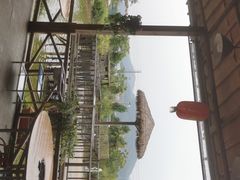 -一煲鸽