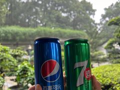 -南山植物园