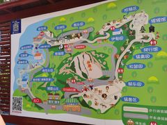 -西霞口神雕山野生动物世界