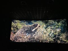 -百美汇影城(LUXE嘉里中心店)