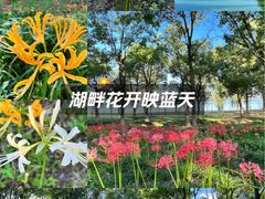 -阳澄湖半岛旅游度假区