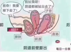 -纤思韵产后修复健康管理中心(顺义金街店)