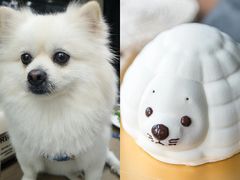 -福气鲜活面包·生日蛋糕