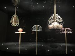 -港珠澳大桥码头