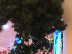 -桂满陇·蟹黄小笼汤包(中山公园店)