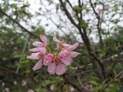 -邹记·美食(斗门店)