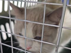 -心仪动物医院·牙专科·肿瘤·心脏科(西客站院)