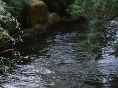 -中国茶叶博物馆(双峰馆区)