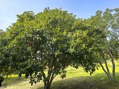 -白塘生态植物园