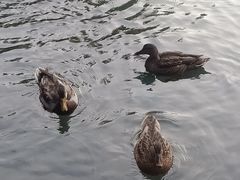 -水磨沟公园