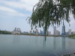 -天鹅湖体育公园