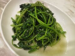 清炒红薯尖-新川办餐厅