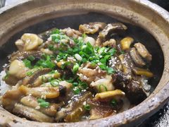 -红星光发煲仔饭(大石街店)