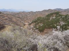 -蟠龙山长城景区
