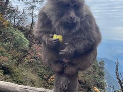 -峨眉山风景名胜区