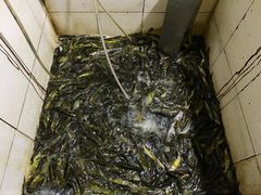 -老船夫石锅苗苗鱼·老字号(三道堰总店)