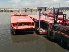 -信德中旅船务管理有限公司