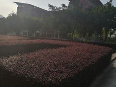 -福建师范大学(仓山校区)