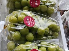 -马陆小张葡萄园农家乐