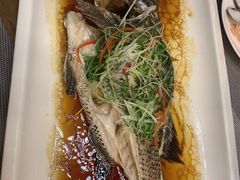 清蒸海鱼-观海轩餐厅(一线海景店)