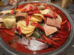 -探鱼·鲜青椒爽麻烤鱼(朝阳悠唐广场店)