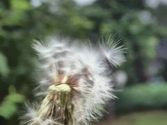 -鬼笑石后山停车场