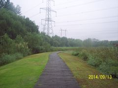 -昆山城市生态森林公园